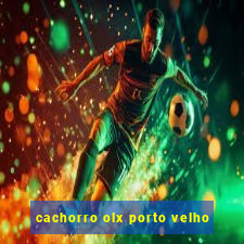 cachorro olx porto velho